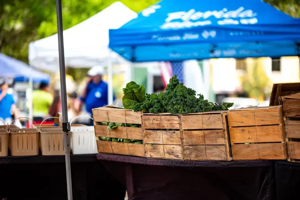 Local Attractions We Serve Around Charles Village in Charles Village